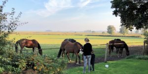 impressum-ferienwohnung-fernblick-dangast