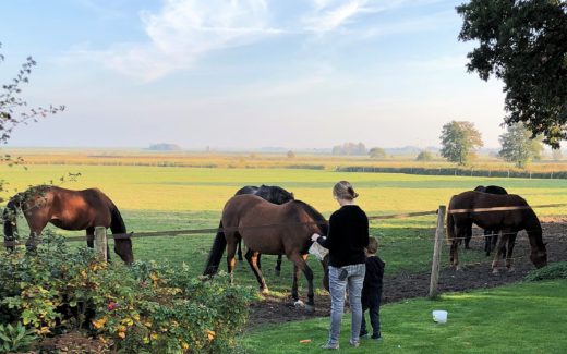 impressum-ferienwohnung-fernblick-dangast