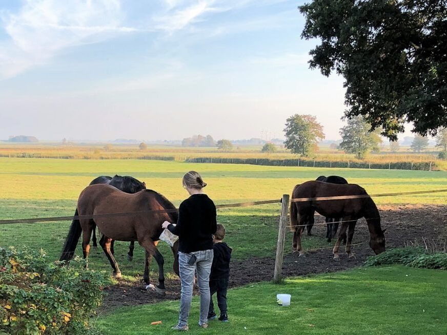 impressum-ferienwohnung-fernblick-dangast